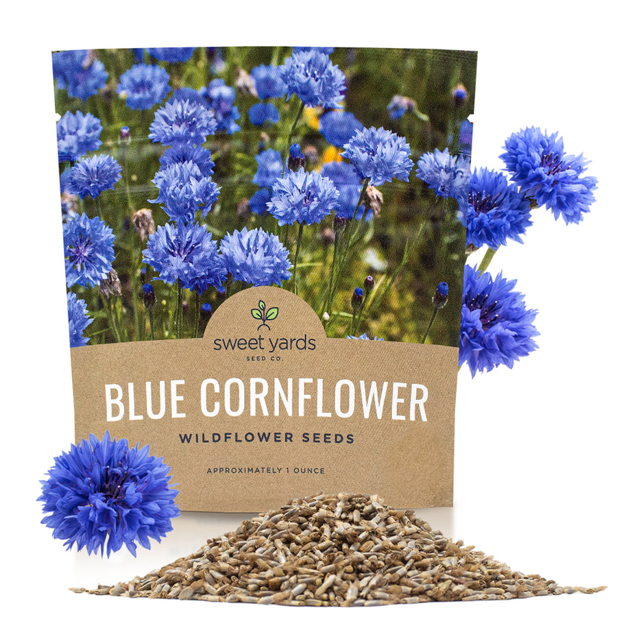 Blue Cornflower Seeds