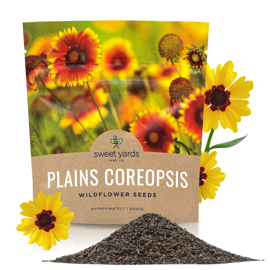 Plains Coreopsis Seeds