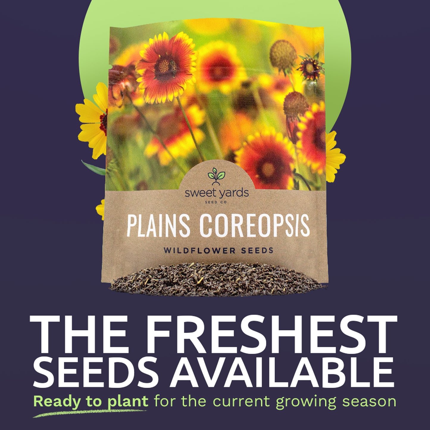 Plains Coreopsis Seeds