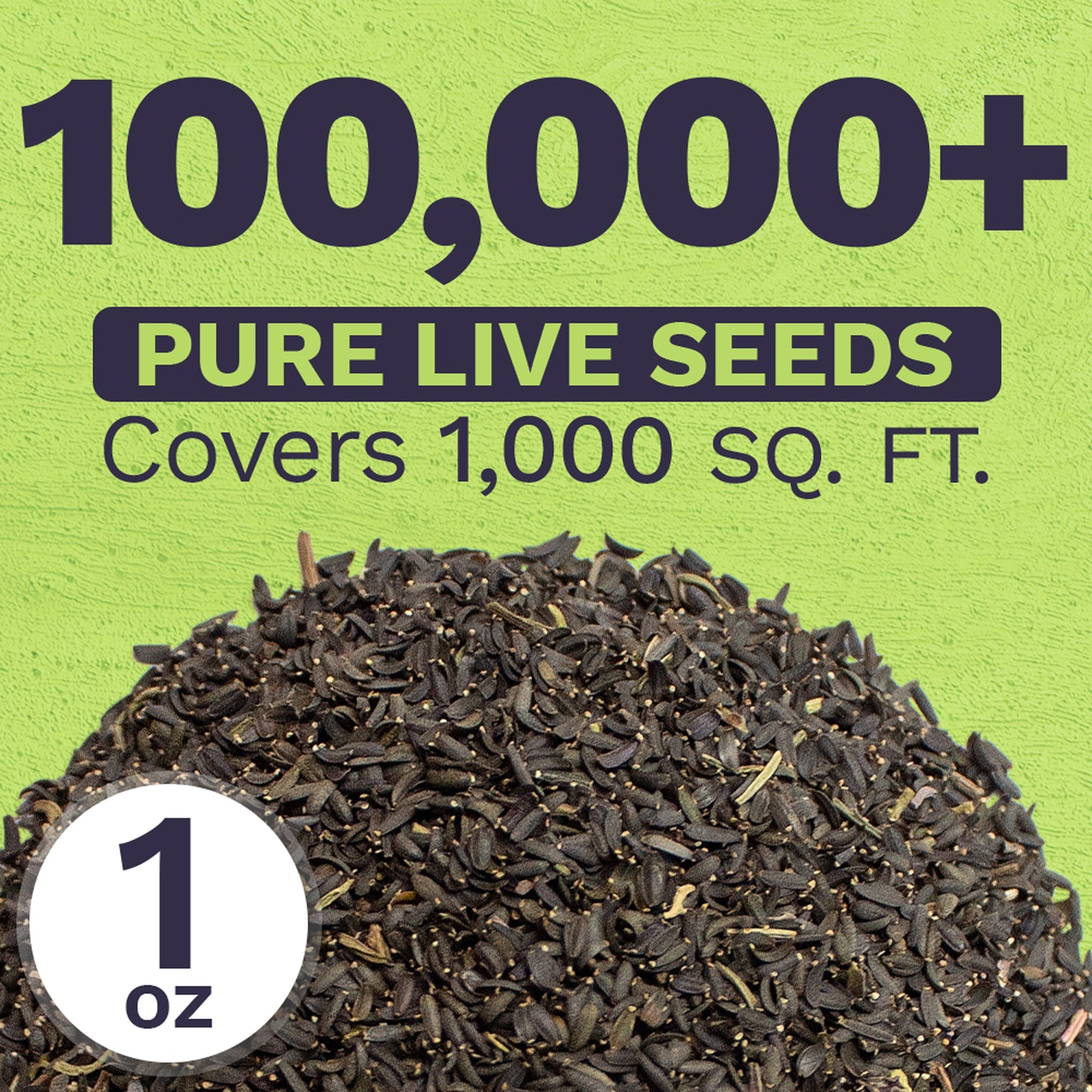 Plains Coreopsis Seeds