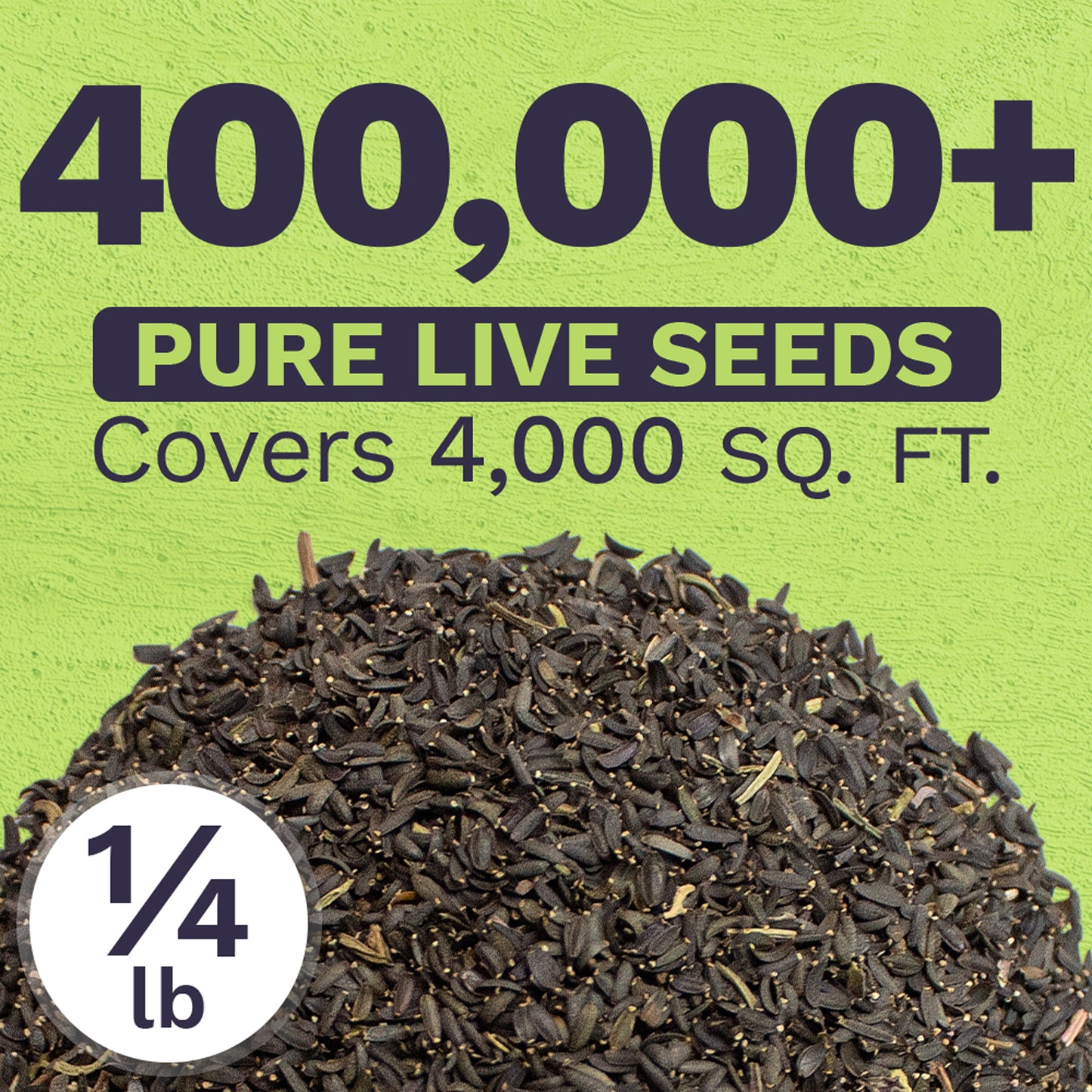 Plains Coreopsis Seeds