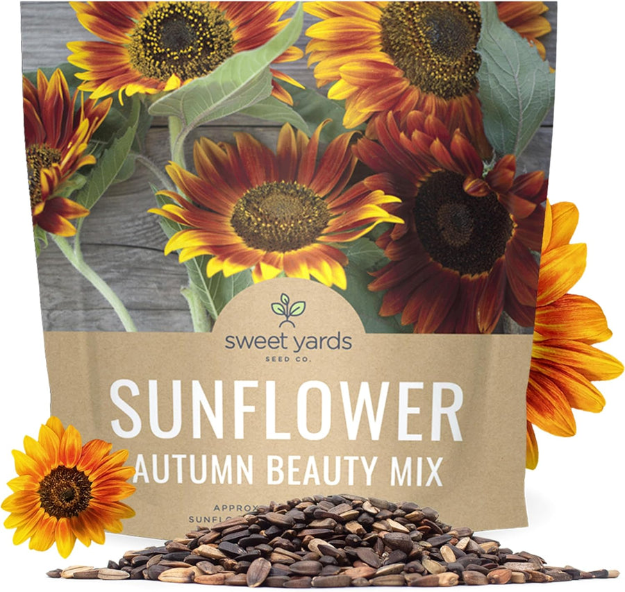 Autumn Beauty Sunflower Seeds