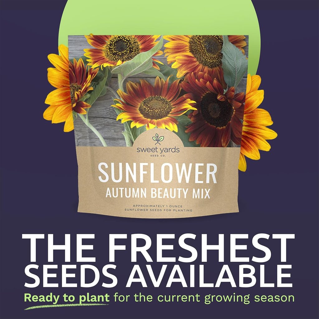 Autumn Beauty Sunflower Seeds