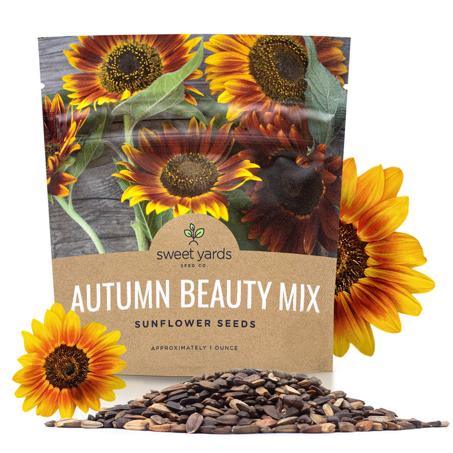 Autumn Beauty Sunflower Seeds