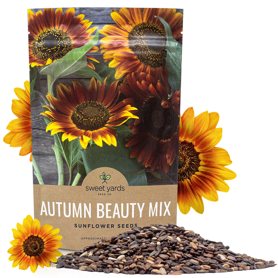 Autumn Beauty Sunflower Seeds