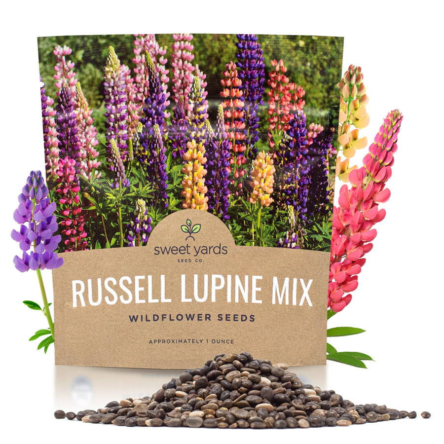 Russell Lupine Seeds