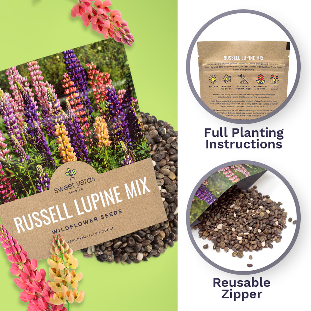 Russell Lupine Seeds