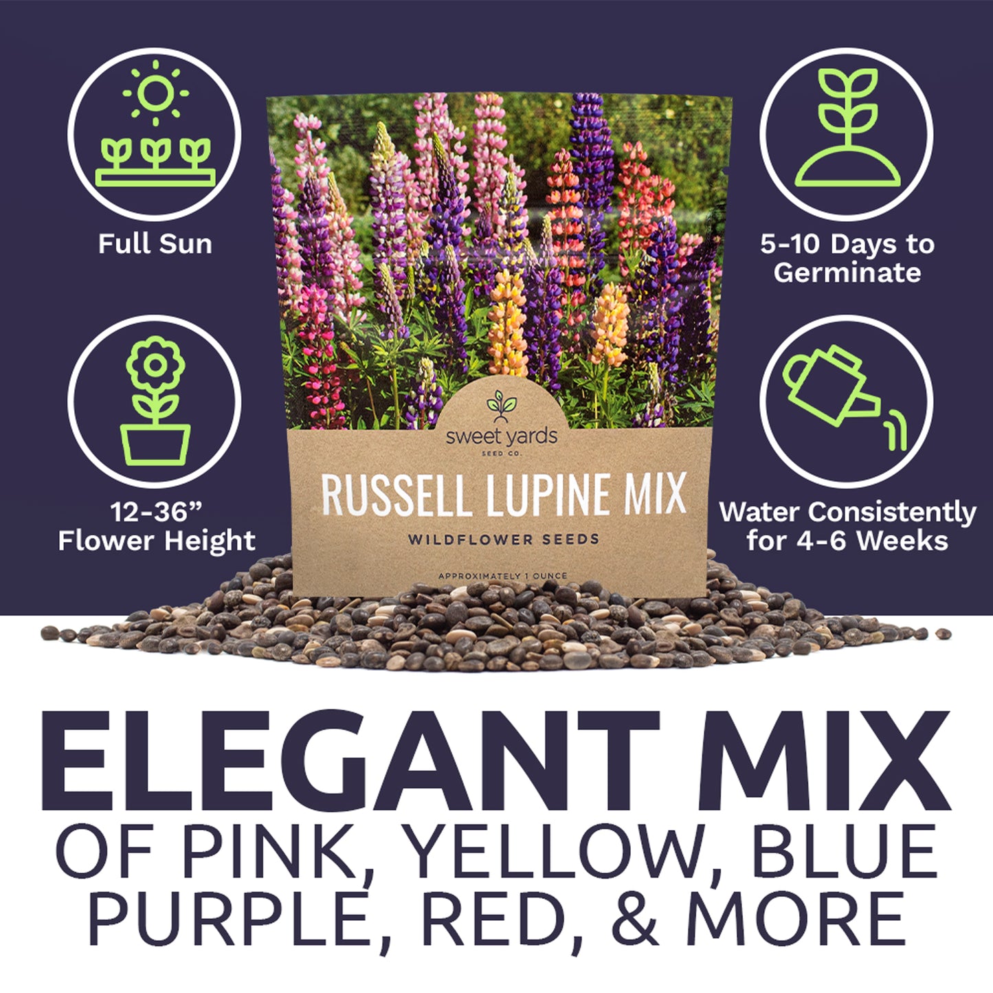 Russell Lupine Seeds