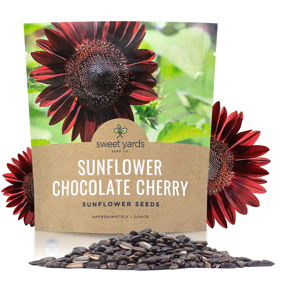 Chocolate Cherry Sunflower