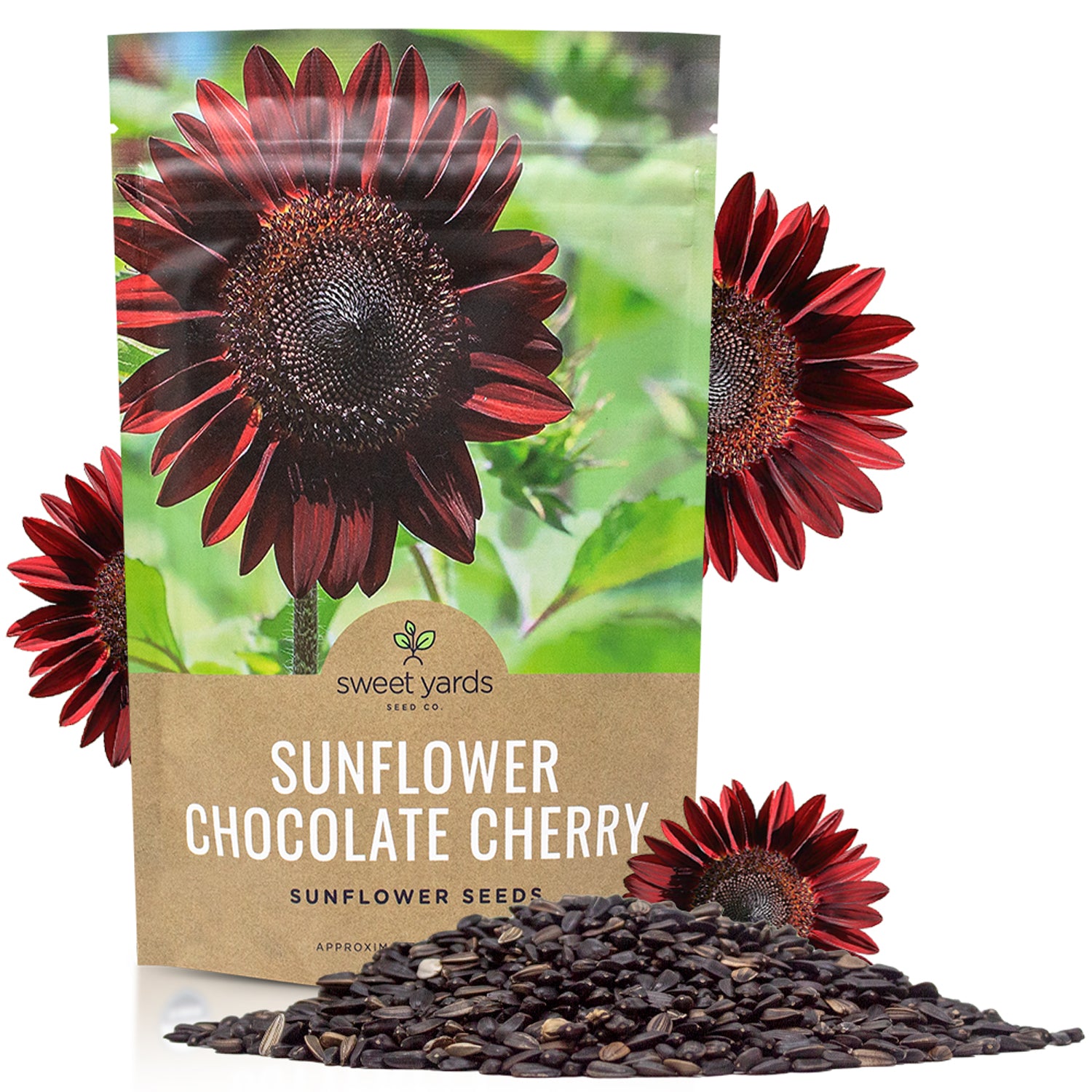 cherry rose sunflower seeds Chocolate Cherry Sunflower – Sweet Yards