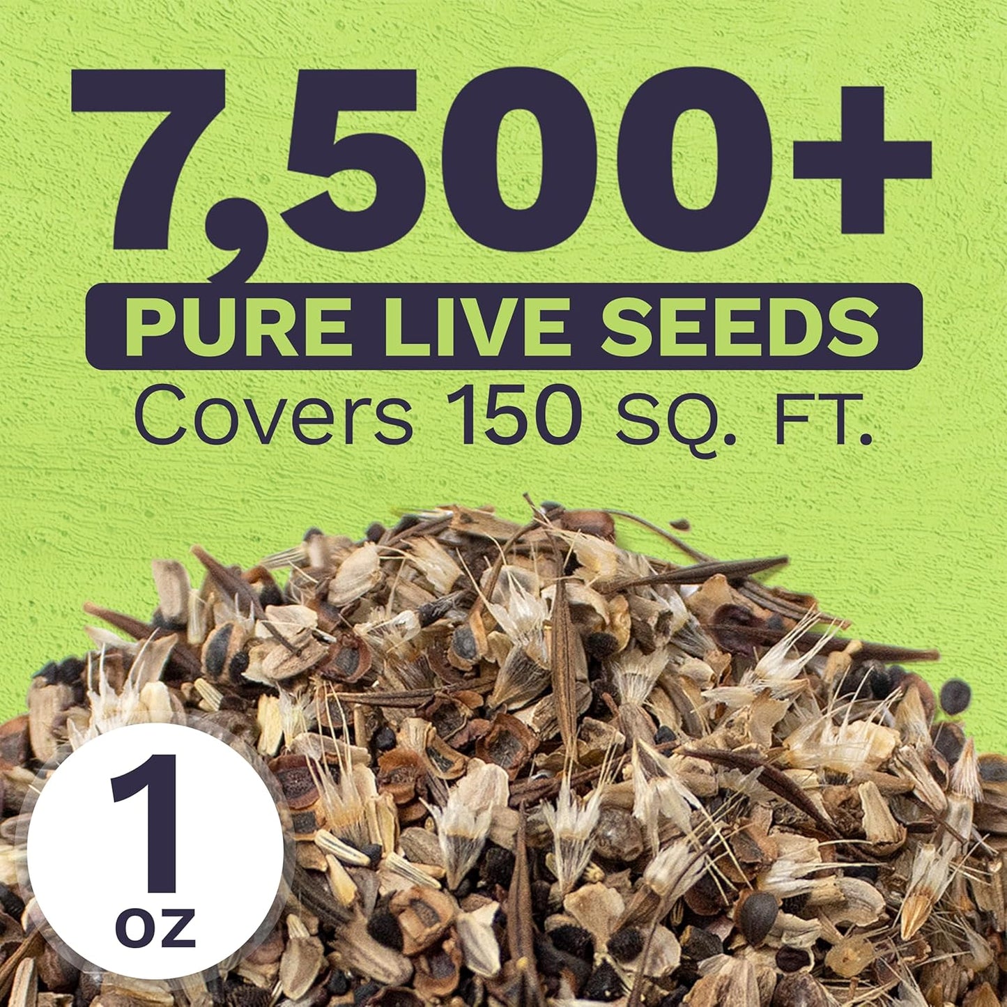 Cut Flower Garden Seeds – Sweet Yards