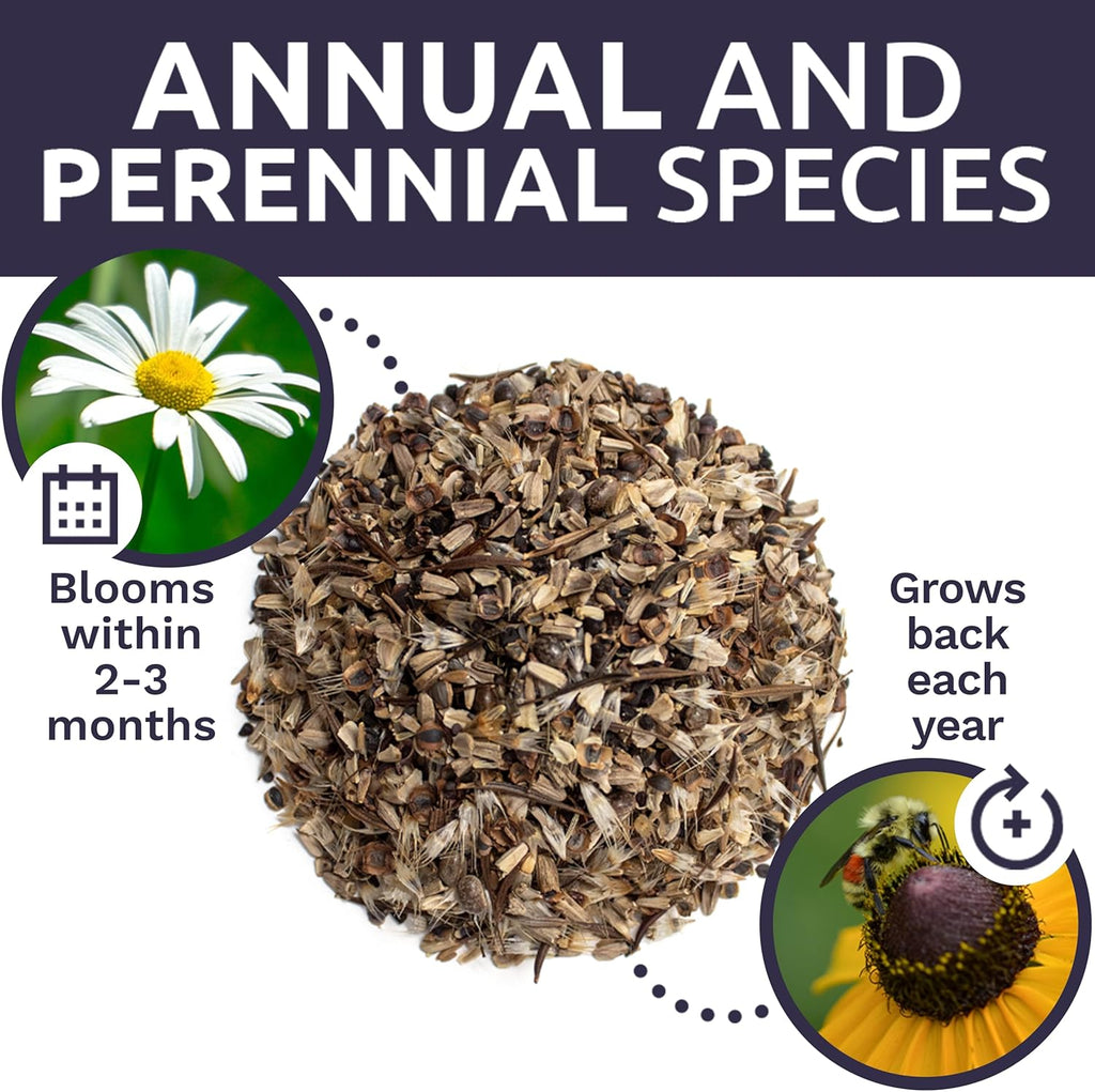 Cut Flower Garden Seeds