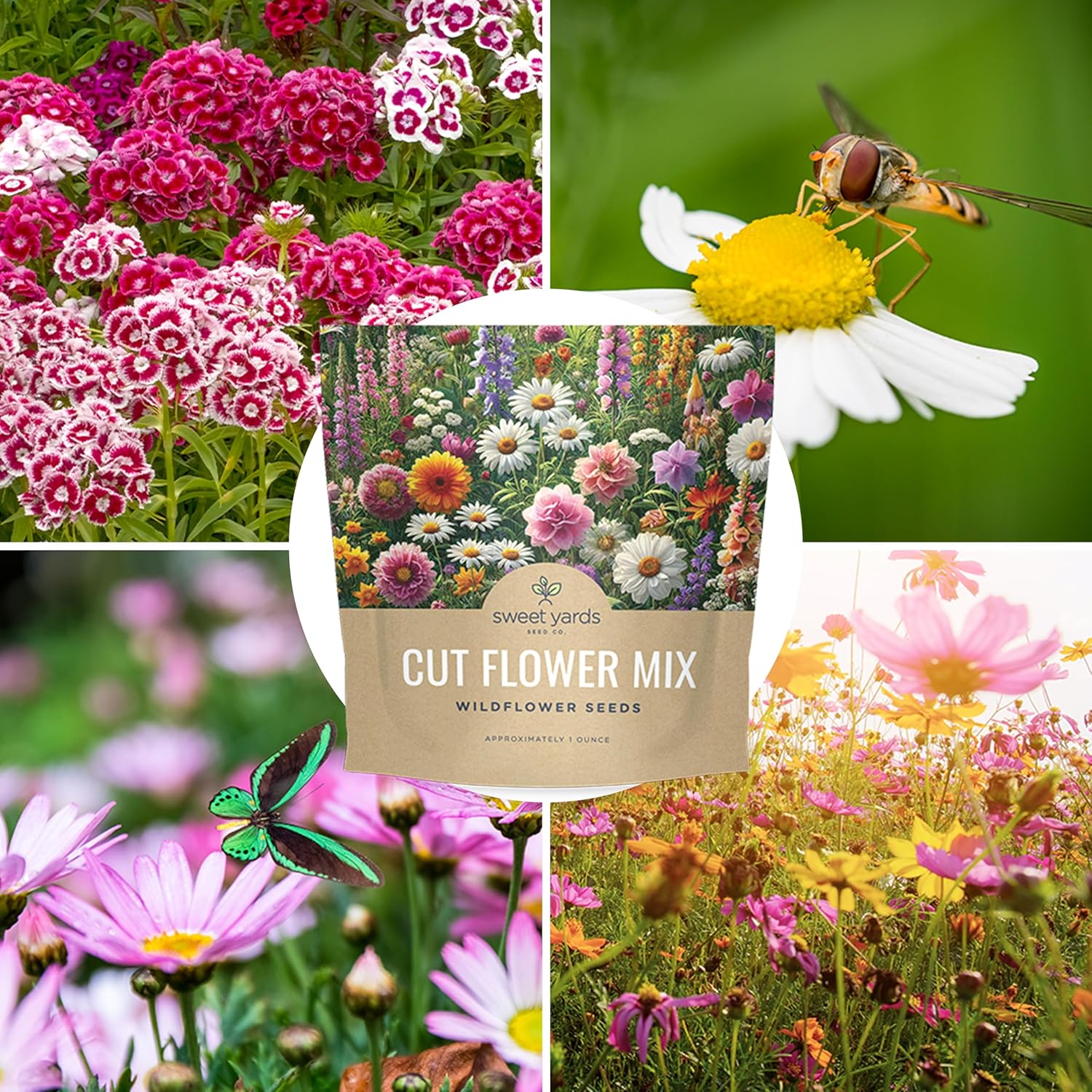 Cut Flower Garden Seeds – Sweet Yards