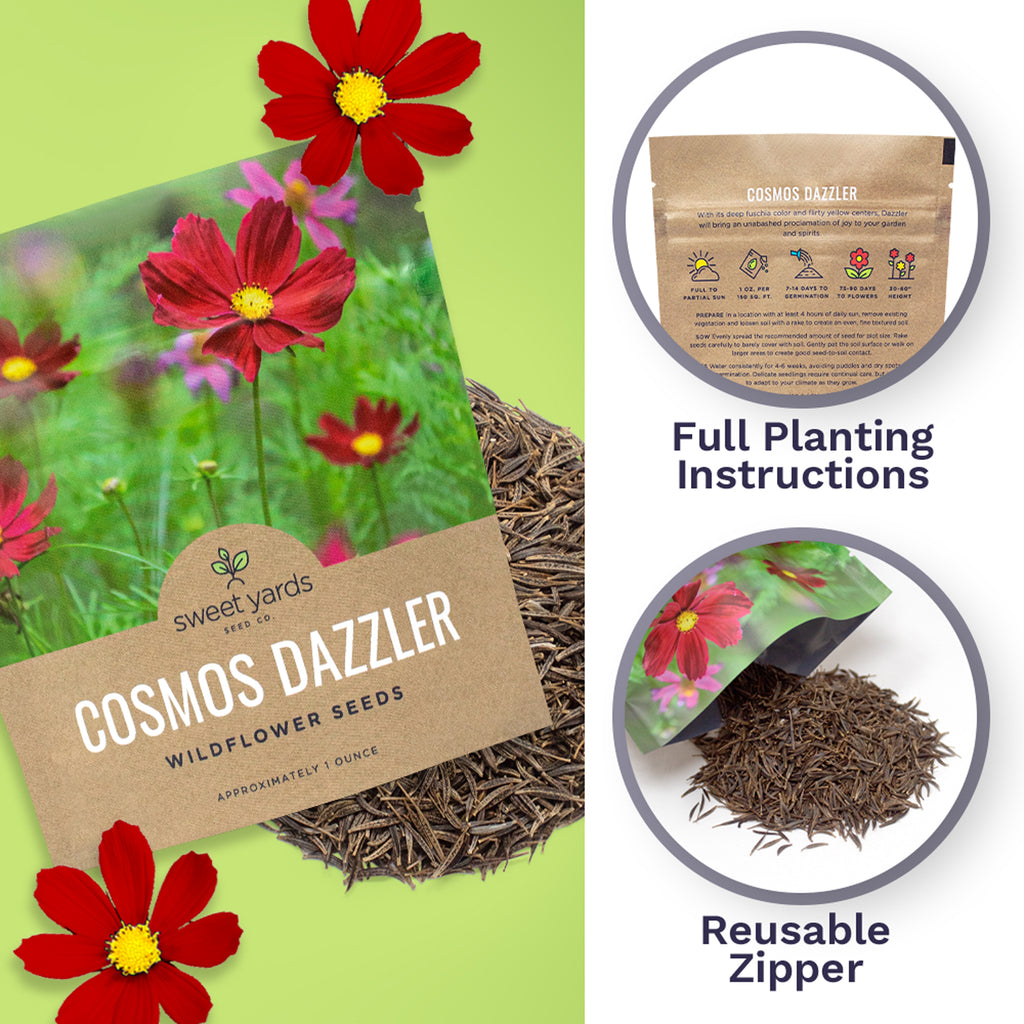 Dazzler Cosmos Wildflower Seeds