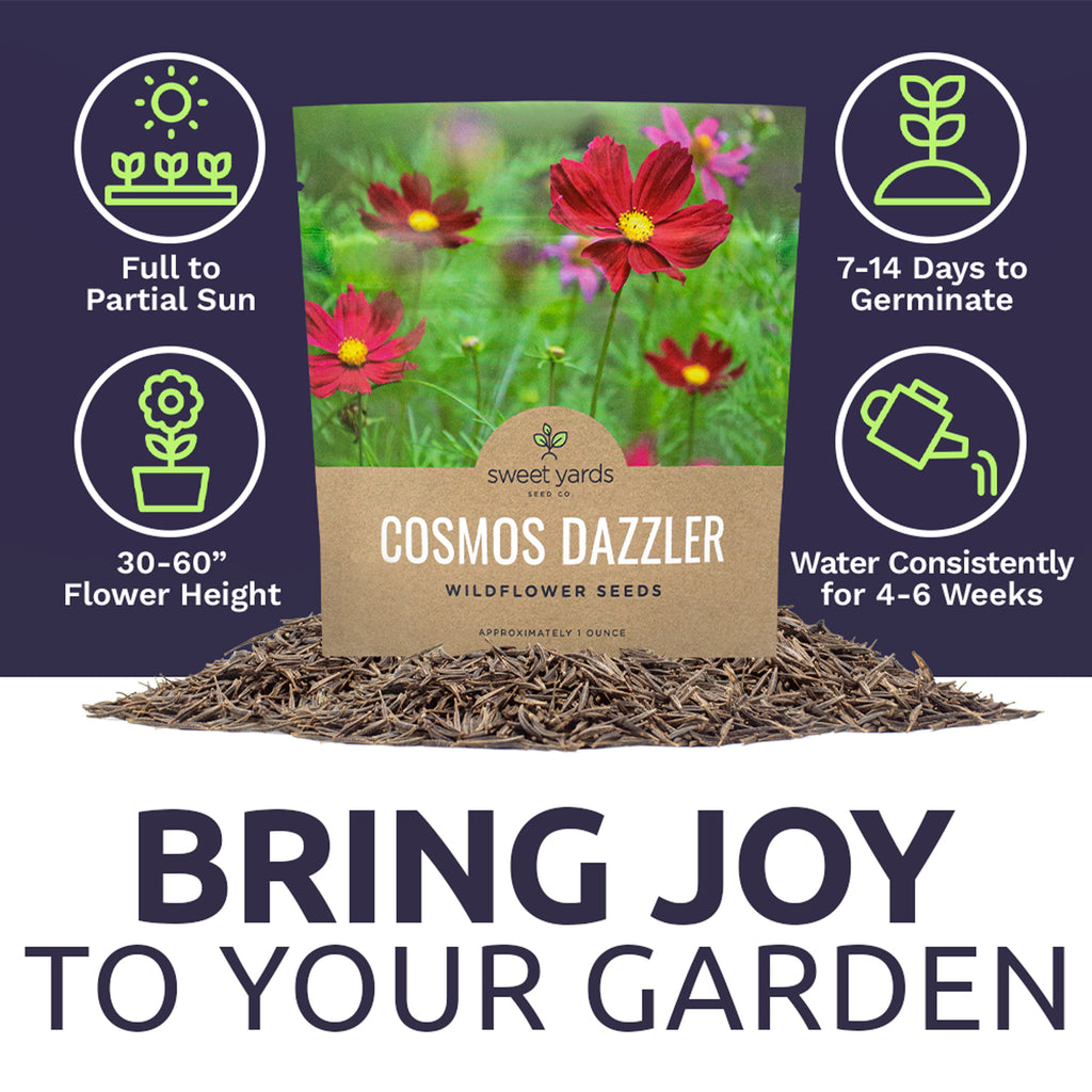 Dazzler Cosmos Wildflower Seeds