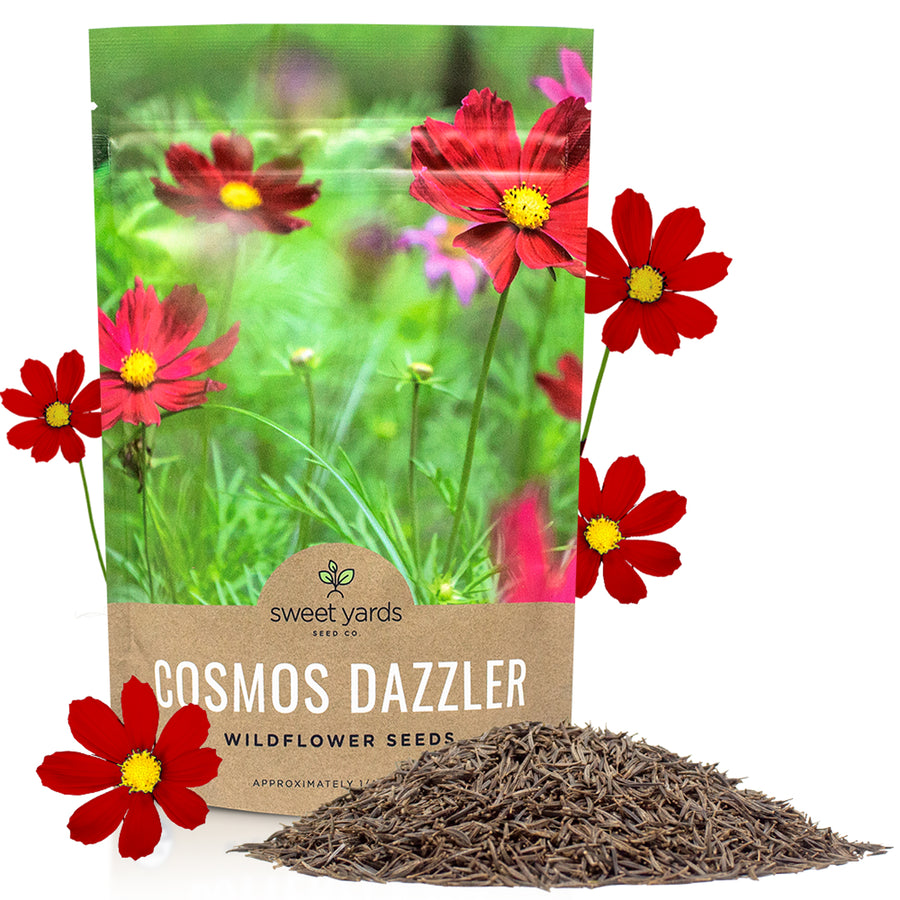 Dazzler Cosmos Wildflower Seeds