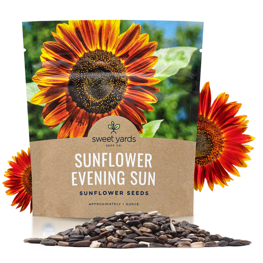 Evening Sun Sunflower Seeds