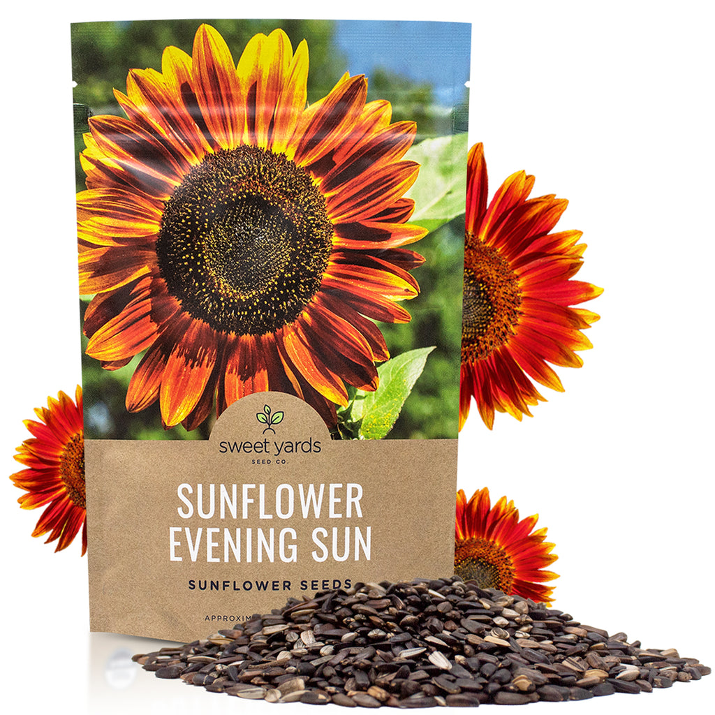 Evening Sun Sunflower Seeds