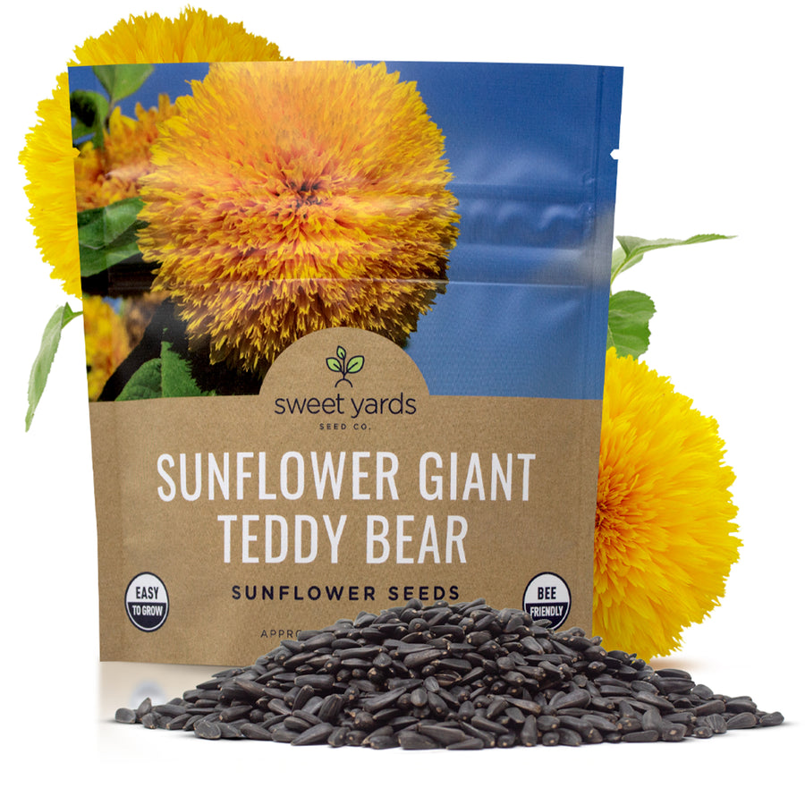 Giant Teddy Bear Sunflower Seeds