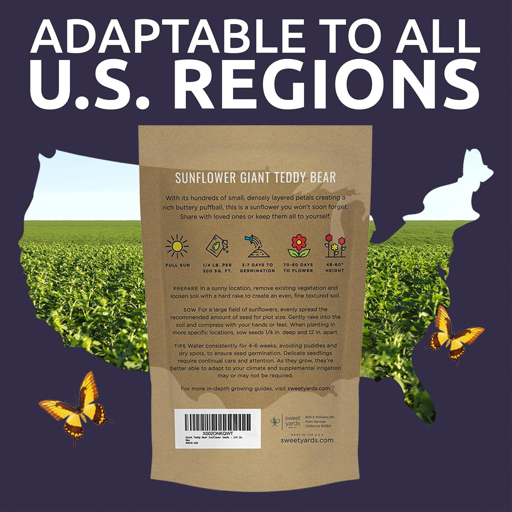 Giant Teddy Bear Sunflower Seeds