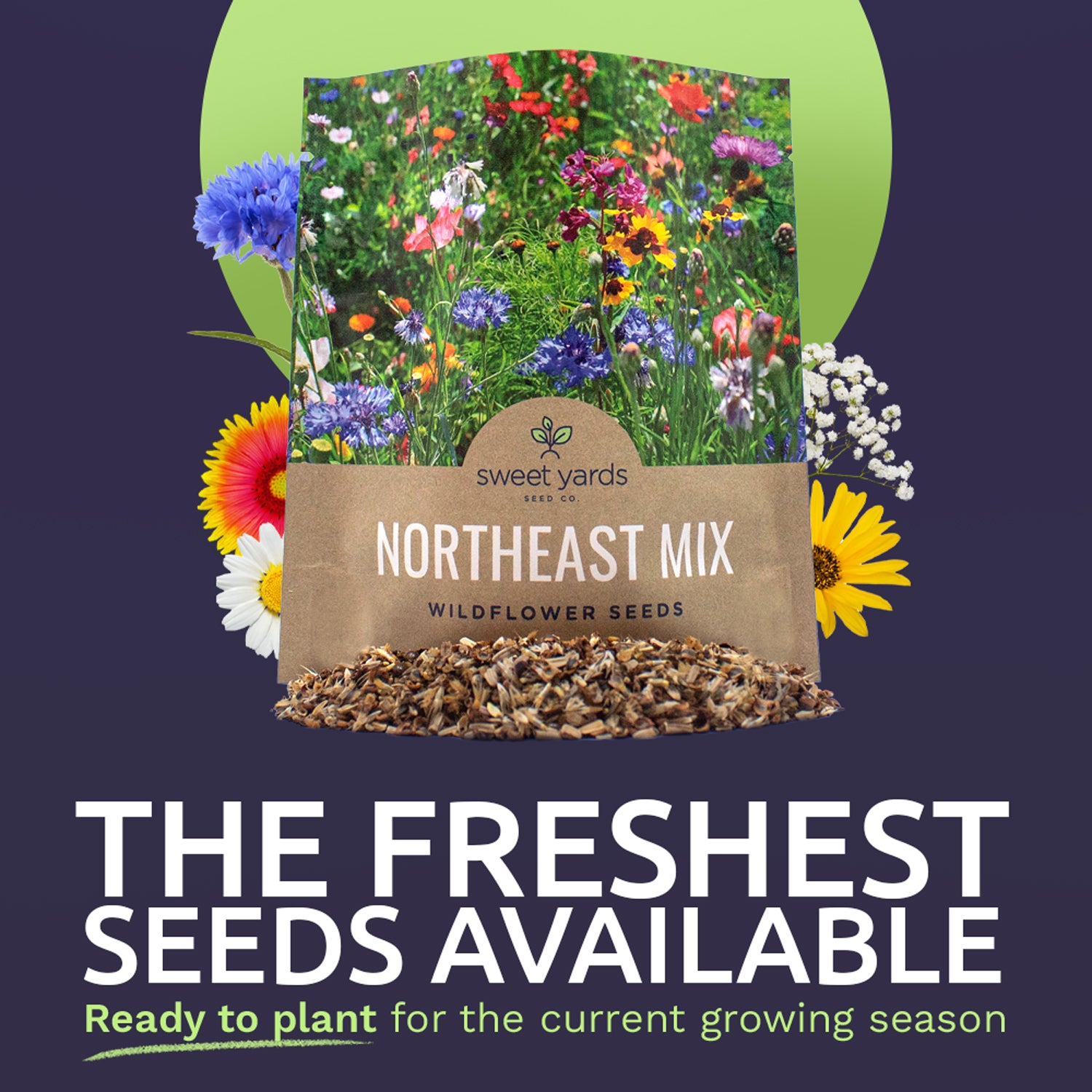 wildflower seed northeast Northeast Wildflower Seeds – Sweet Yards