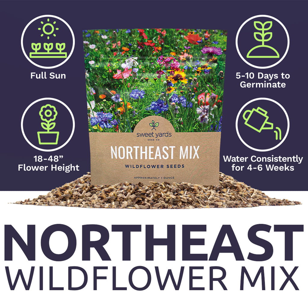 Northeast Wildflower Seeds