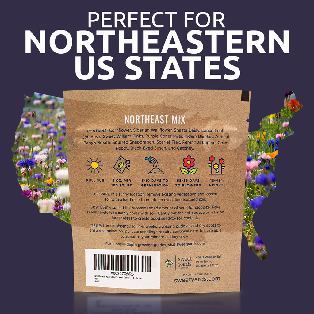 Northeast Wildflower Seeds