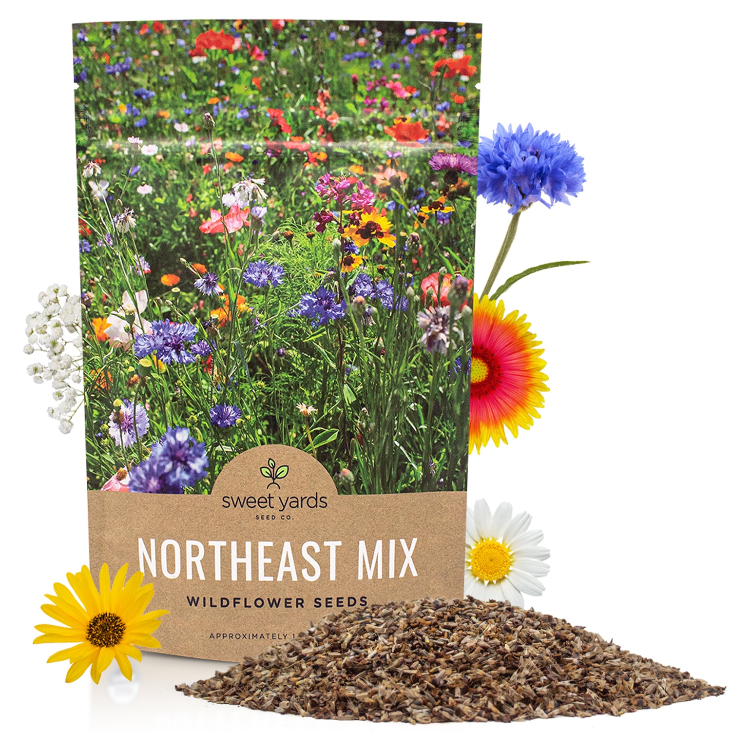 wildflower ground cover seeds Northeast Wildflower Seeds – Sweet Yards