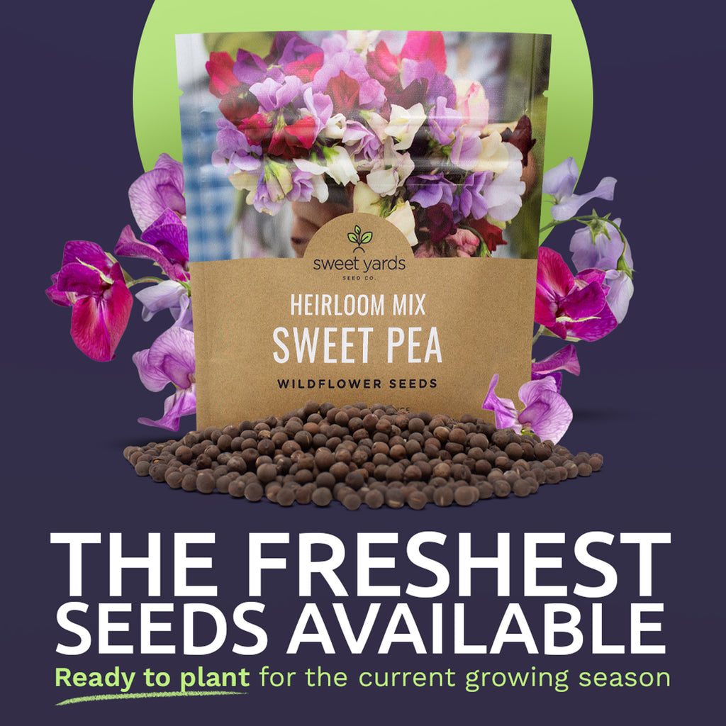 Sweet Pea Heirloom Mix