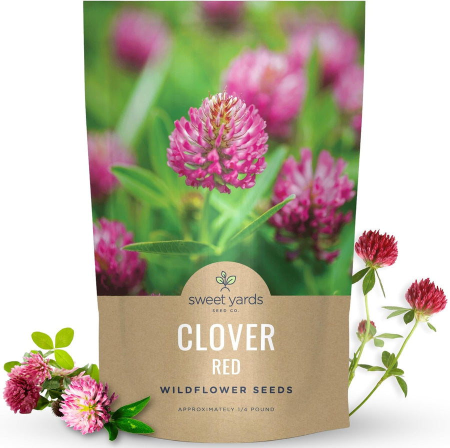 Red Clover