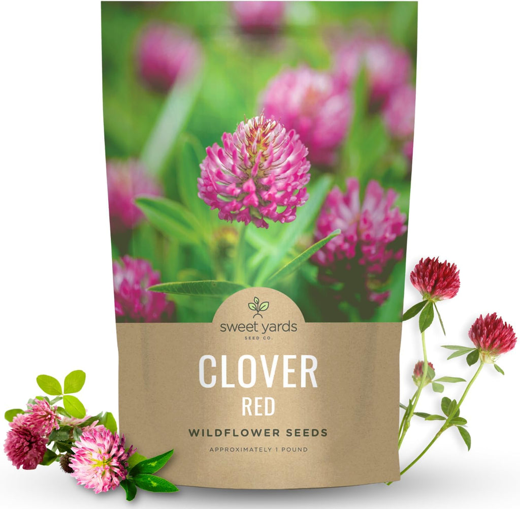Red Clover