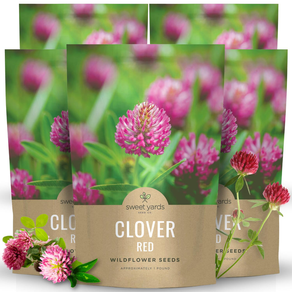 Red Clover