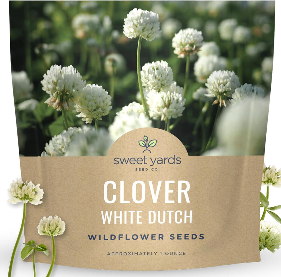 White Dutch Clover