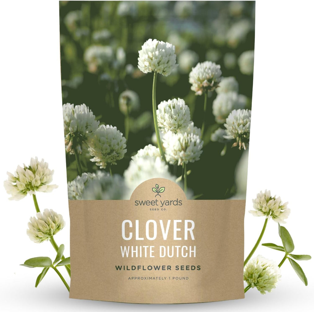 White Dutch Clover