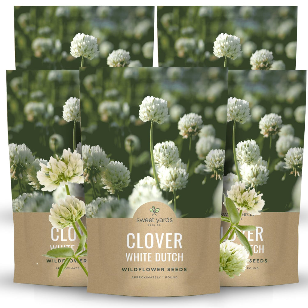 White Dutch Clover