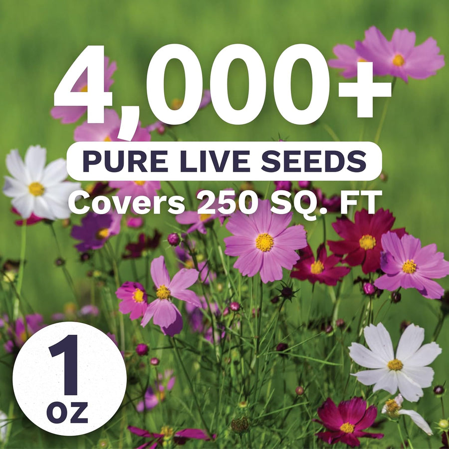 Cosmos Sensation Mix