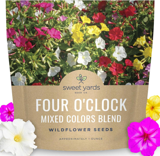Four O'Clock Mixed Colors Blend