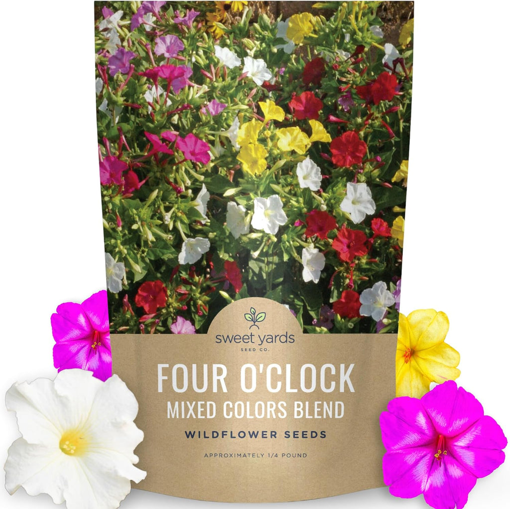 Four O'Clock Mixed Colors Blend
