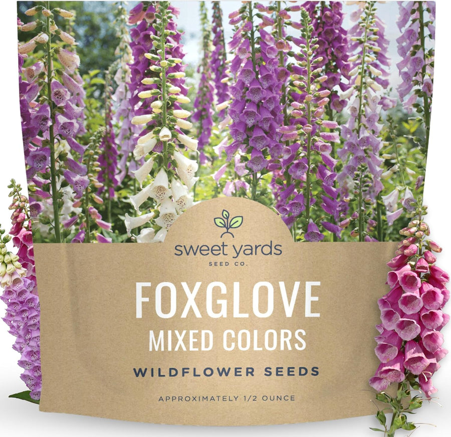 Foxglove Mixed Colors