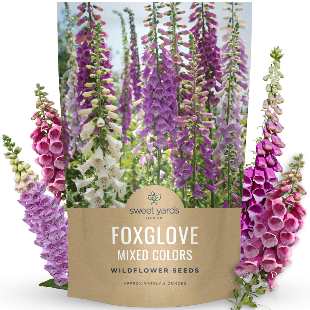 Foxglove Mixed Colors