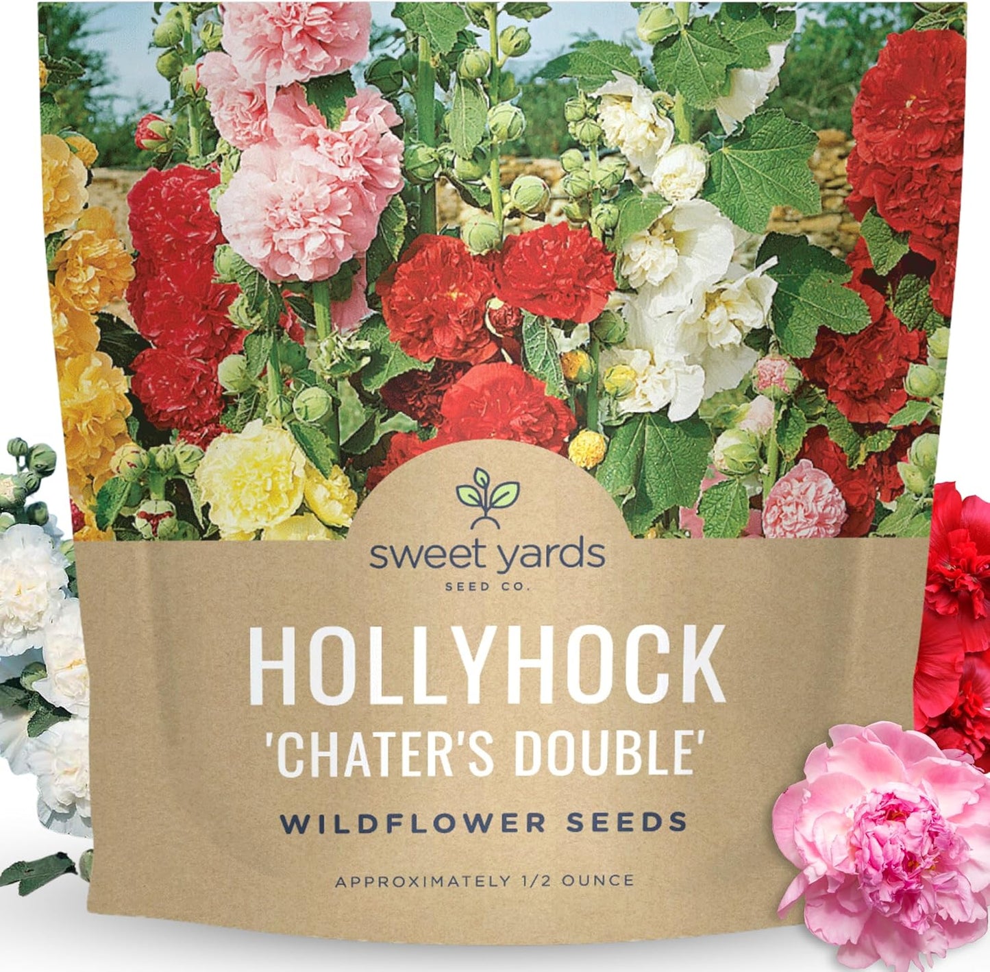 Hollyhock 'Chater's Double' Mix