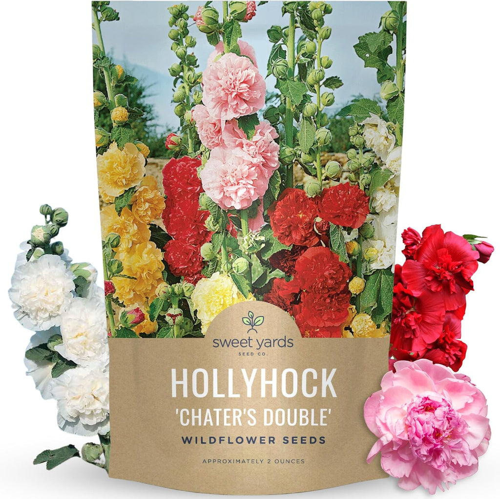 Hollyhock 'Chater's Double' Mix