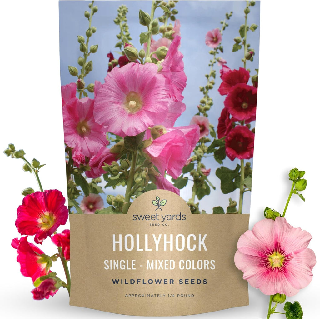 Hollyhock Single - Mixed Colors