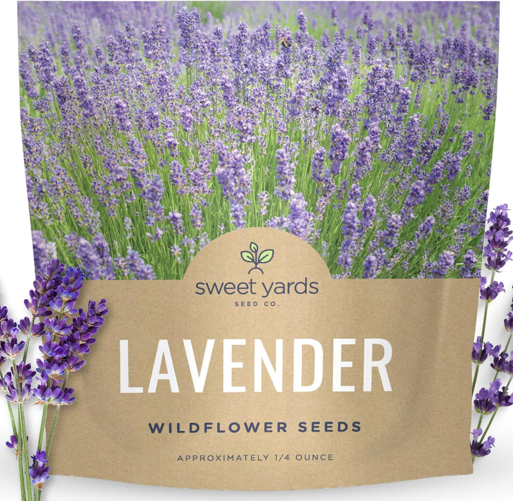Lavender