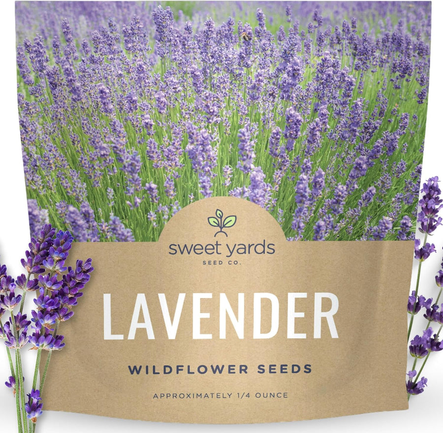 Lavender