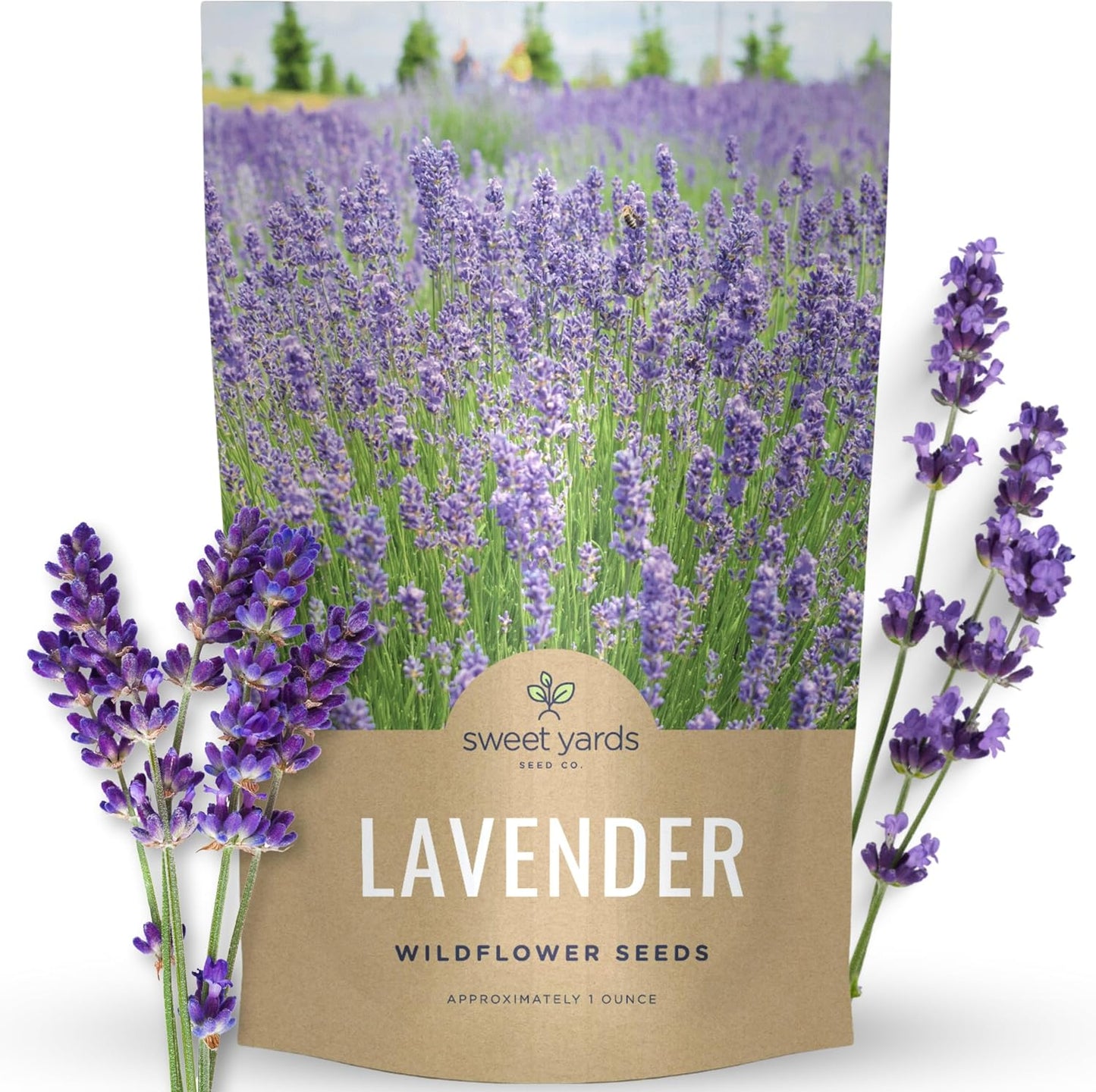 Lavender
