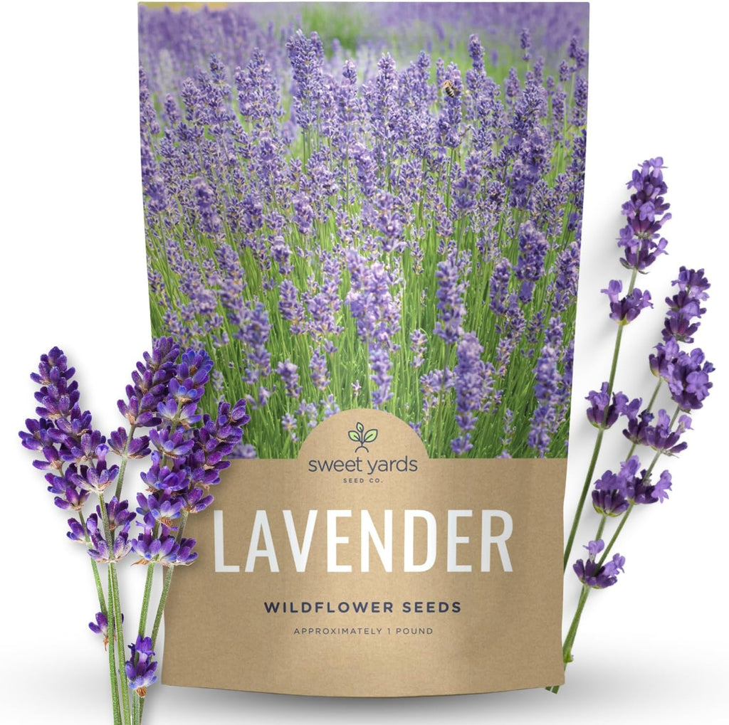 Lavender