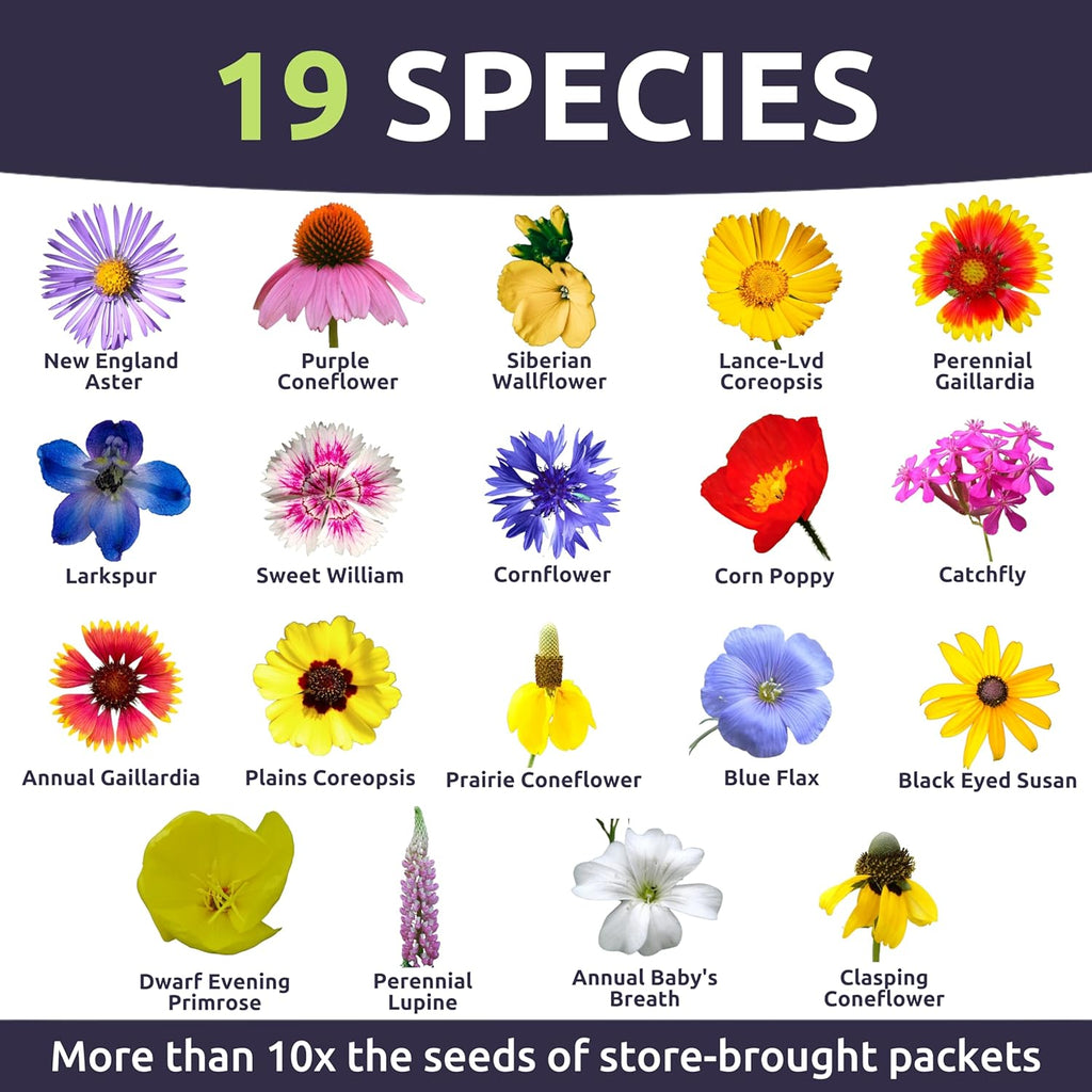 Midwest Regional Mix