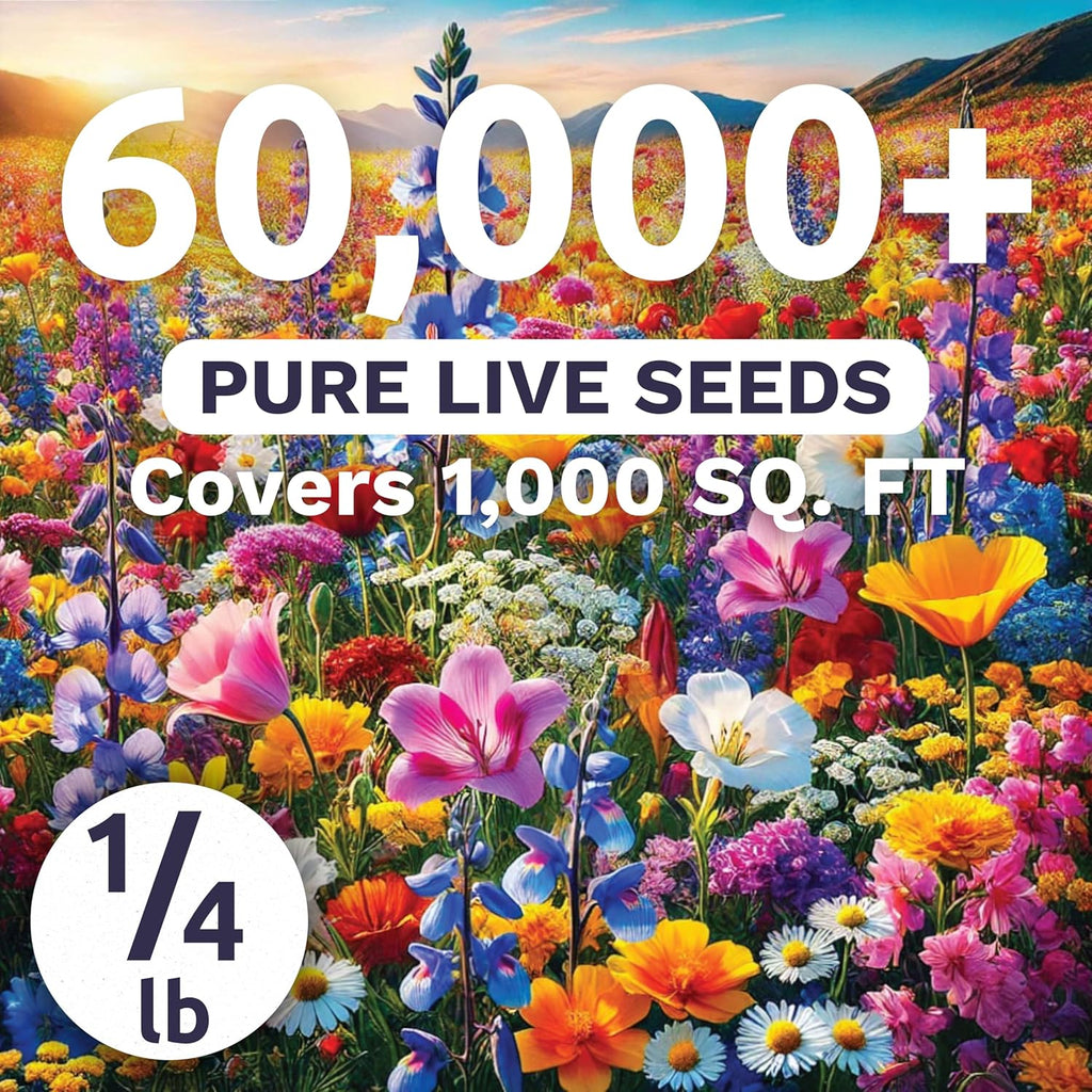 Midwest Regional Mix