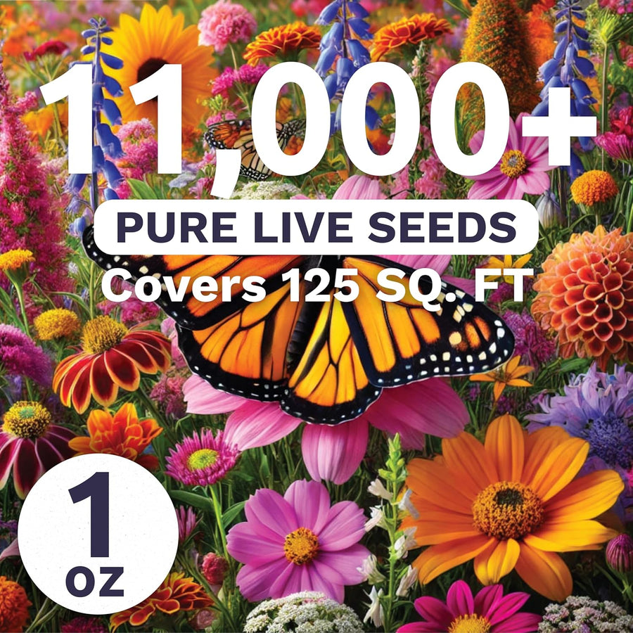 Monarch Butterfly Rescue Mix